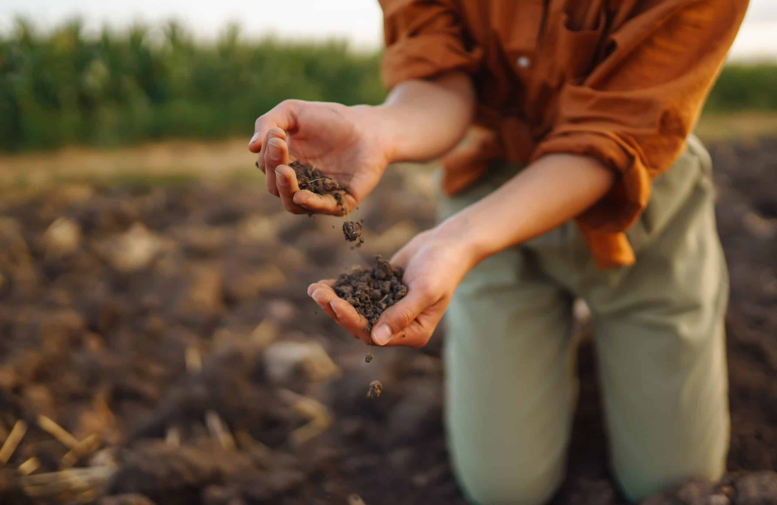 Expert hand of farmer woman  checking soil health before growth